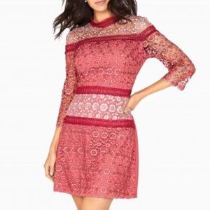Trendy little mistress lace dress from ASOS